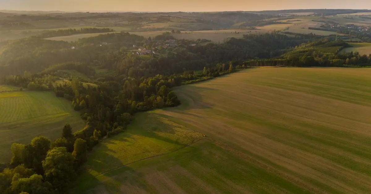 Zielone inicjatywy lokalne - Przewodnik zakupowy